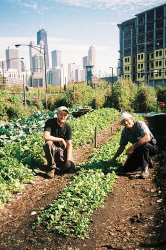 America's Top 10 Urban Farms